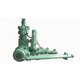 Компрессор 402ВП-4/220