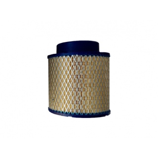 Воздушный фильтр Remeza 4092100200