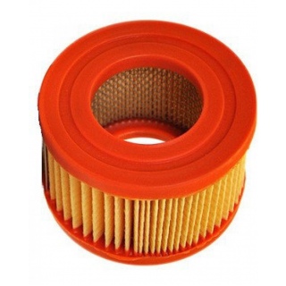 Воздушный фильтр Remeza 4093100100